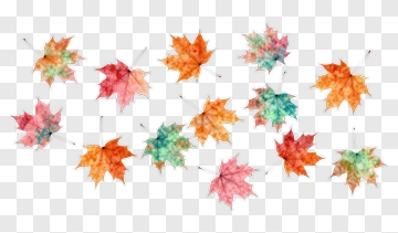 Colorful Watercolor Maple Leaves PNG