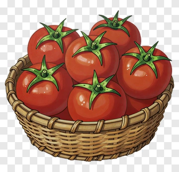 Basket Of Fresh Tomatoes PNG