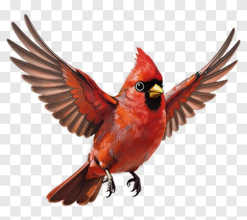 Red Cardinal Bird In Flight PNG