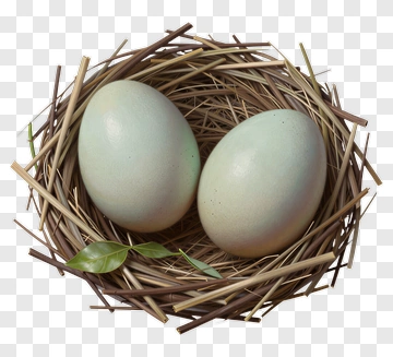Nest With Two Eggs PNG