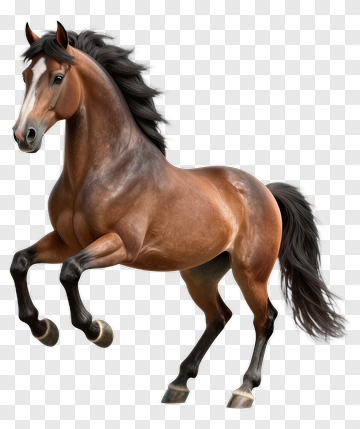 Realistic Brown Horse Standing PNG