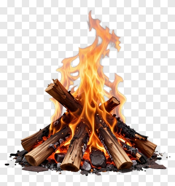 Campfire With Burning Logs PNG