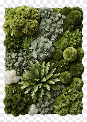 Lush Greenery With Various Plants PNG