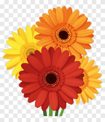 Colorful Flower Bouquet PNG
