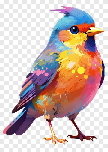 Colorful Bird PNG