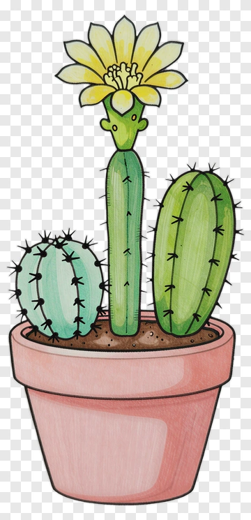 Colorful Cactus In A Pot With Yellow Flower PNG