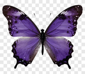 Purple Butterfly PNG