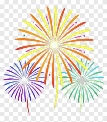 Colorful Fireworks Display PNG
