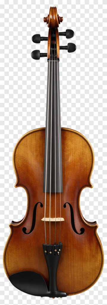 Violin With Elegant Design PNG