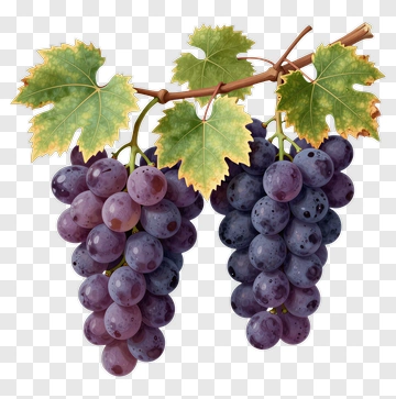 Bunch Of Grapes With Green Leaves PNG