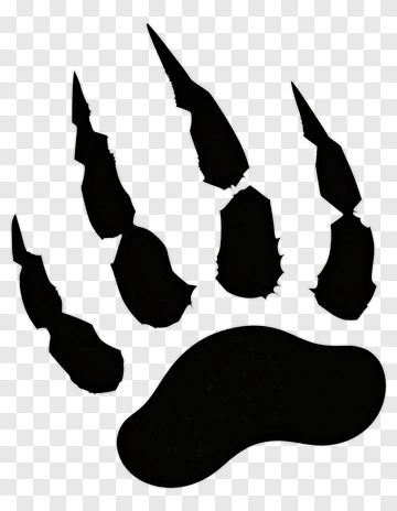 Bear Paw Print Silhouette PNG