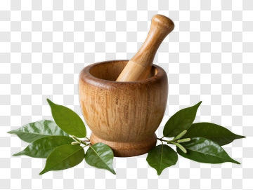 Wooden Mortar And Pestle With Green Leaves PNG