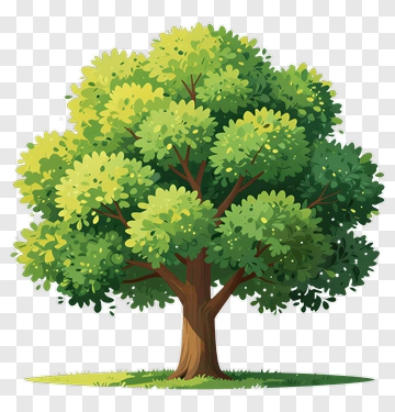 Colorful Tree PNG