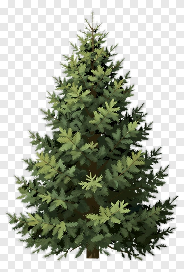Green Pine Tree PNG
