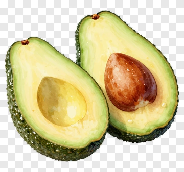 Avocado Halves With Seed PNG