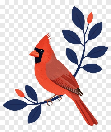 Red Cardinal On A Branch PNG