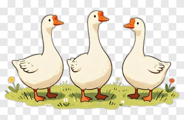 Cartoon Geese Standing On Grass PNG
