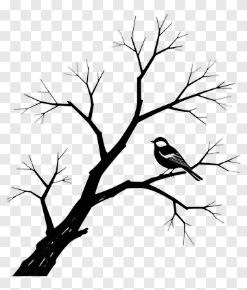 Bird Sitting On A Tree Branch PNG