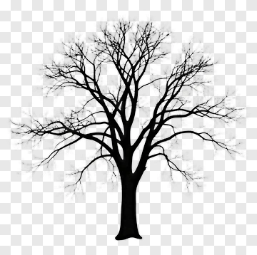 Silhouette Tree PNG