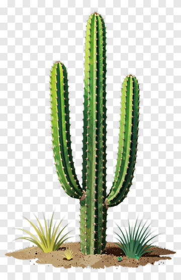 Cactus With Green Succulents And Grass PNG