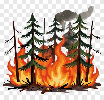 Forest Fire With Burning Trees PNG