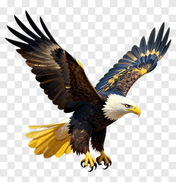 Cartoon Bald Eagle In Flight PNG