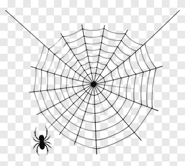 Spider Web With Spider PNG