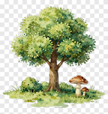 Watercolor Tree With Mushrooms PNG