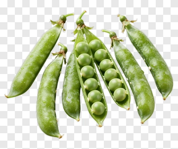 Fresh Green Peas In Pods PNG