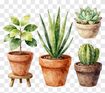 Watercolor Potted Plants PNG