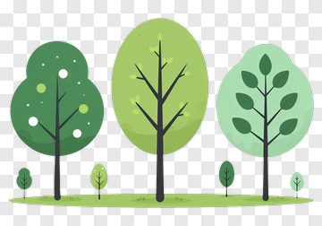Colorful Tree Collection PNG