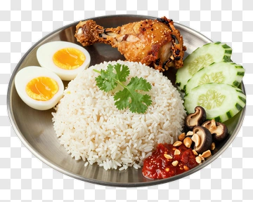 Plate Of Rice With Chicken And Vegetables PNG