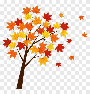 Colorful Tree With Autumn Leaves PNG