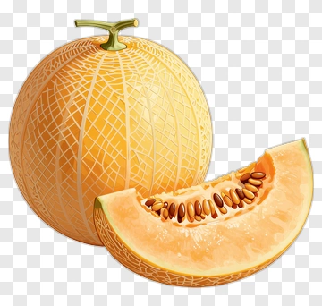 Ripe Cantaloupe Melon With Sliced Piece PNG