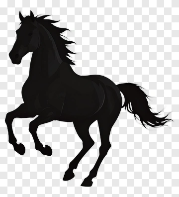 Black Horse Running PNG