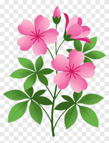 Pink Flower Bouquet PNG