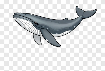 Cartoon Whale Swimming PNG