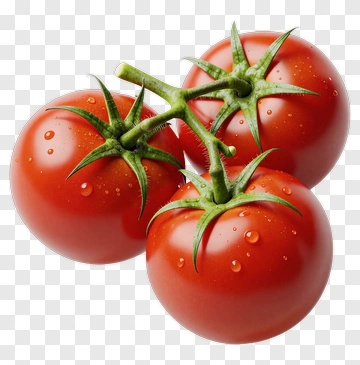 Fresh Red Tomatoes PNG