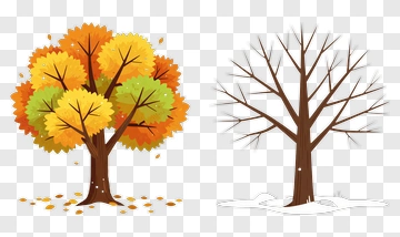 Autumn And Winter Trees PNG