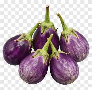 Group Of Purple Eggplants PNG