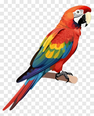 Colorful Parrot Perched On A Branch PNG