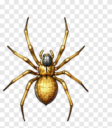 Golden Spider PNG