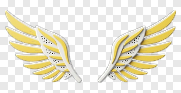 Yellow Wing Design PNG