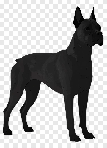Black Dog Standing PNG