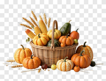 Basket Of Colorful Pumpkins And Corn PNG