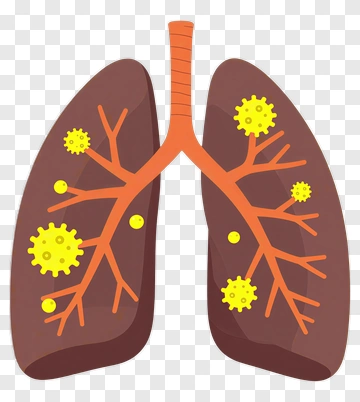 Illustration Of Human Lungs With Germs PNG