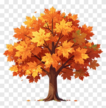 Colorful Tree With Autumn Leaves PNG