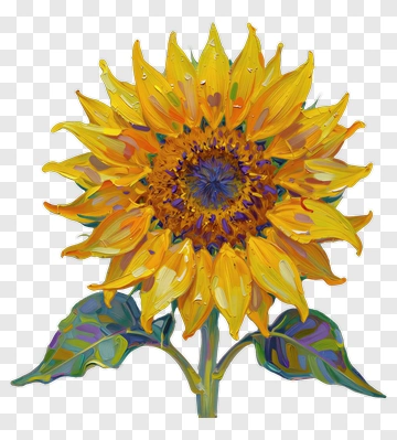 Colorful Sunflower PNG