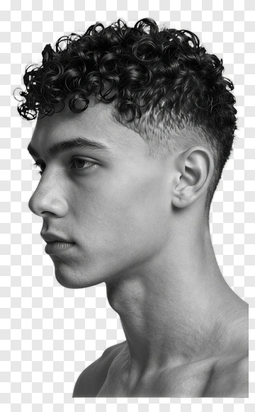 Profile Portrait Of A Young Man With Curly Hair PNG