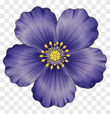 Purple Flower With Yellow Center PNG